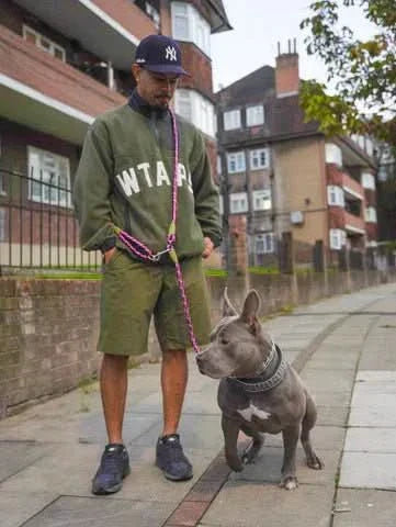 Ultimate Hands-Free Dog Leash for Active Lifestyles
