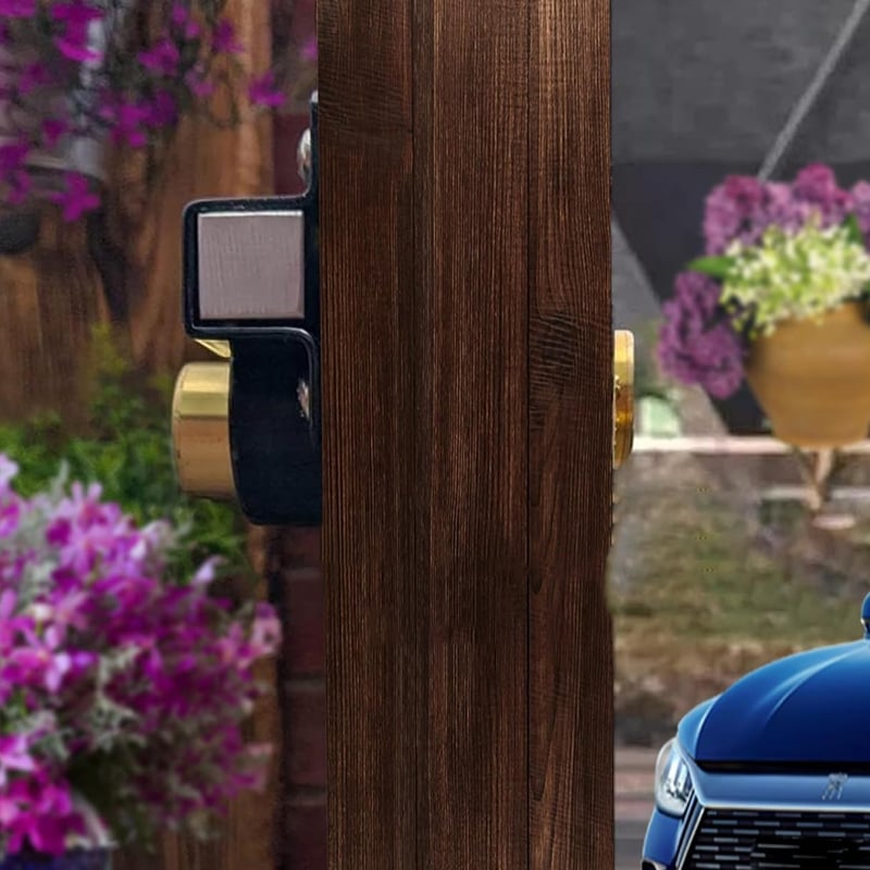 Gate Lock with Key | Rust-Resistant | Spring Bolt
