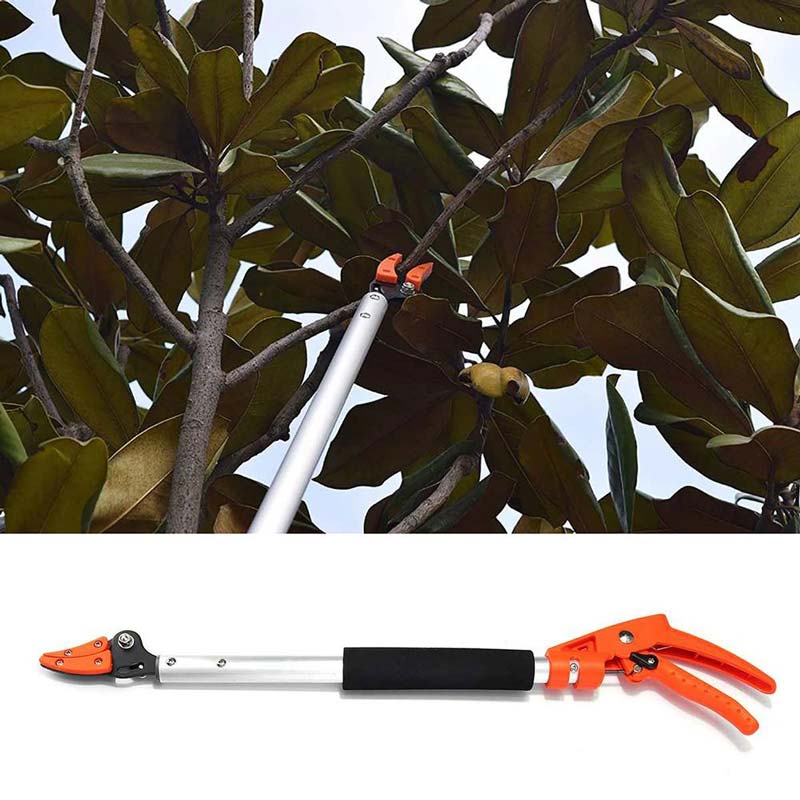 GardenMaster - Extendable Hedge Trimmer for Flawless Trimming