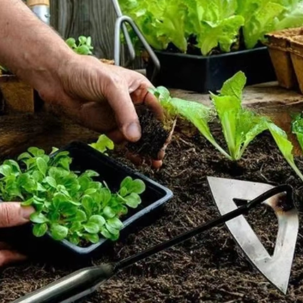 Weed Puller | Stand-Up Weeding Tool with Forged Steel Hollow Blade