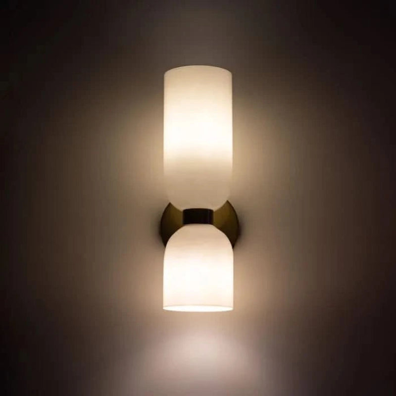 Elegant Dual-Head Wall Light with Glass Shades