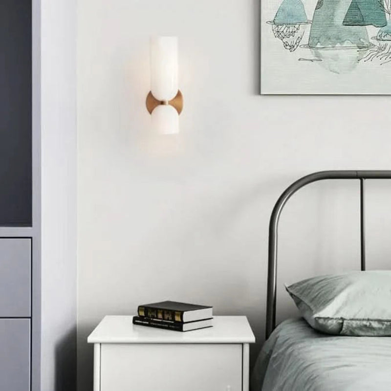 Elegant Dual-Head Wall Light with Glass Shades