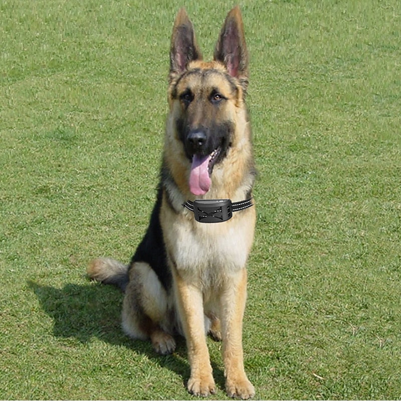 Smart Pet Boundary System with Waterproof Adjustable Collar