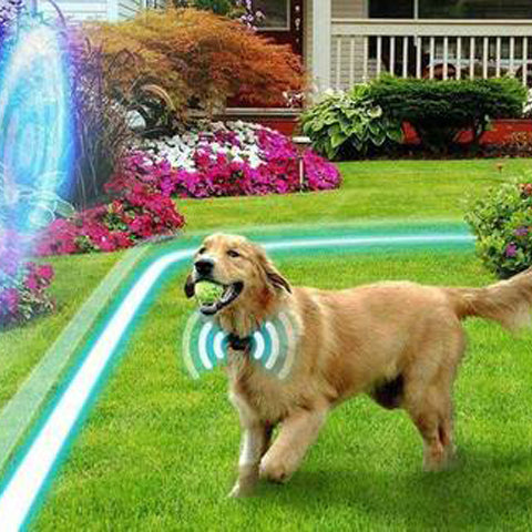 Portable Pet Containment System with Remote Control - 500m Range