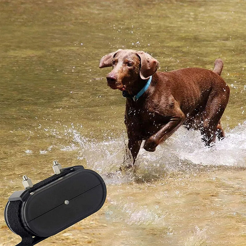 Portable Pet Containment System with Remote Control - 500m Range