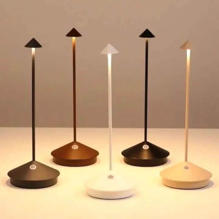 Dimmable Indoor and Outdoor Ambient Light