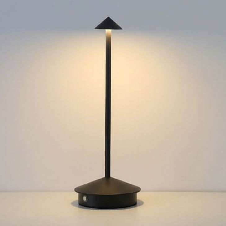 Dimmable Indoor and Outdoor Ambient Light