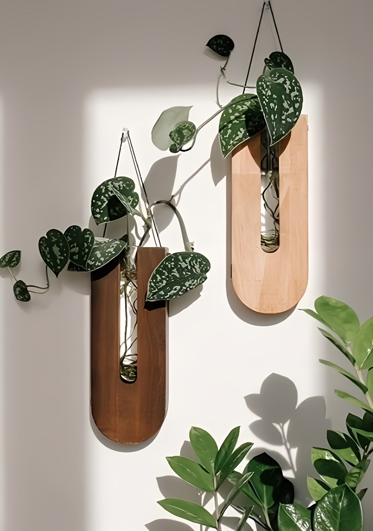 Rustic Elegance Wall Plant Holder Set for Indoor Greenery