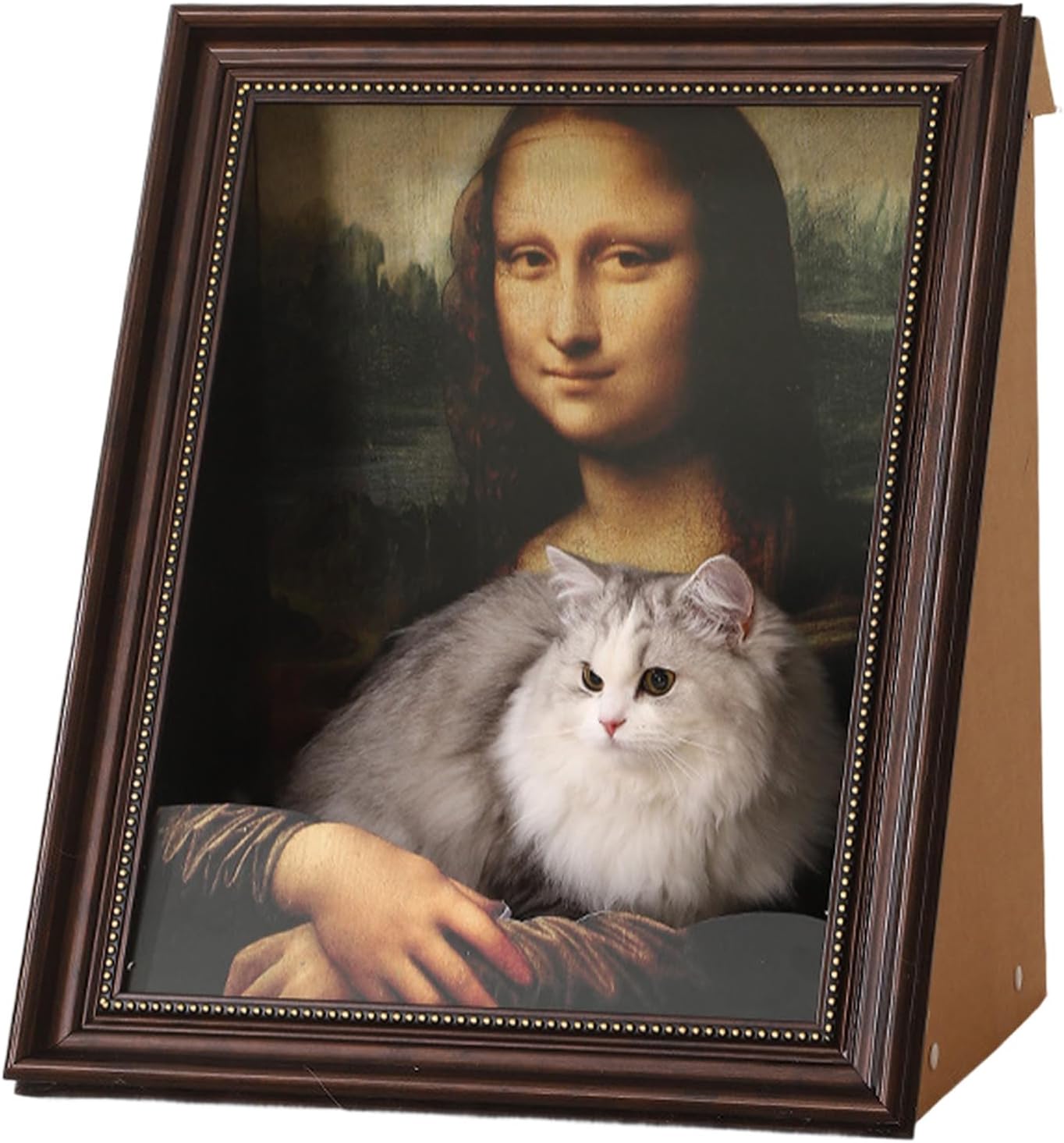 ClawCuddle™ Lounge — The Ultimate Cozy Escape That Saves Your Furniture and Delights Your Cat’s Soul