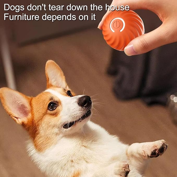 ChaseSpark™ — Ignite Your Dog’s Wild Instinct for Endless Play and Pure Joy
