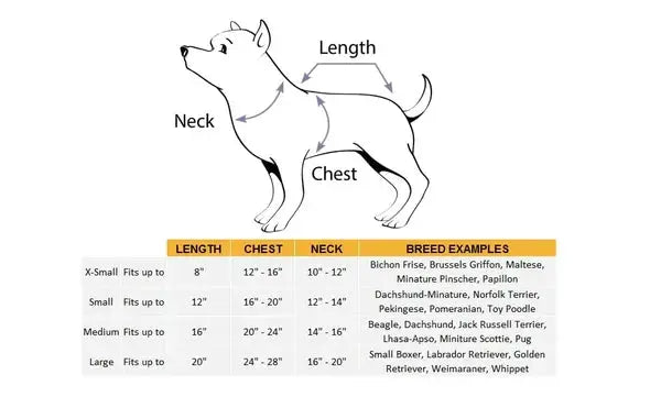 BoneChic™ — Make Your Pet the Star with Irresistible Spooky-Cute Charm