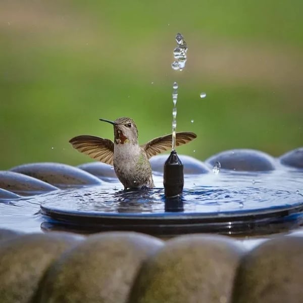 SolaraStream™ — Transform Your Garden Into a Sun-Powered Oasis of Peace and Life