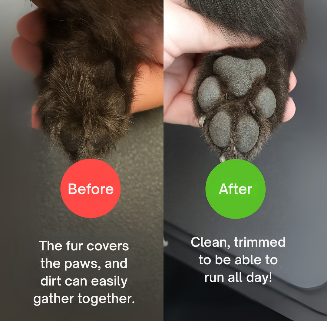 SilkPaw™ — Transform Grooming Into a Calm, Loving Moment Your Pet Craves