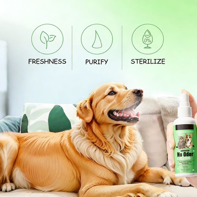 SmileGuard™ — Transform Your Pet’s Breath Into Pure Joy and Unstoppable Cuddles