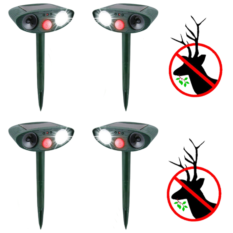Effective Animal Repellent - Keep Your Garden Safe in 48 Hours