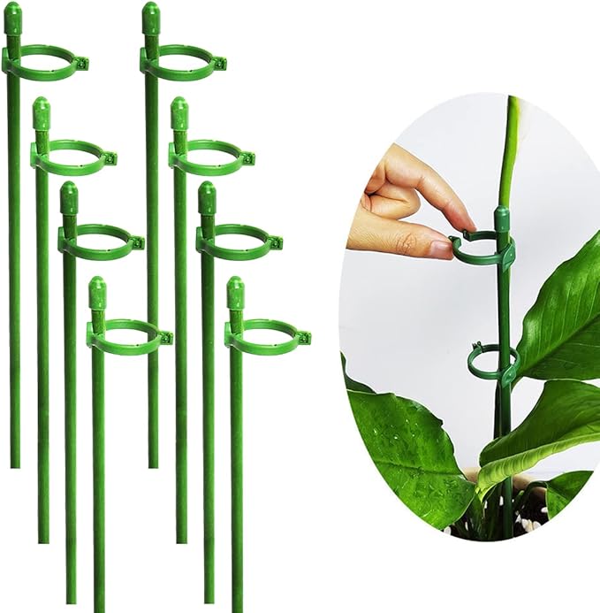 StellaStem™ — Rock-Solid Support for Plants That Rise Strong and Proud