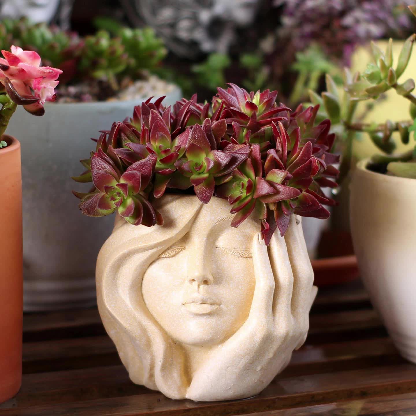 Charming Character Planter for Indoor and Outdoor Greenery