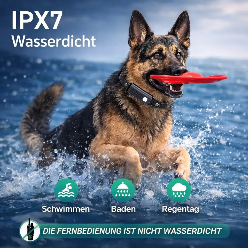 Smart Control Dog Training Collar with Remote