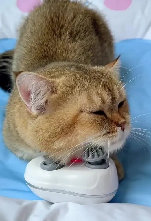 PurrEase – Relaxation Your Cat Will Love!