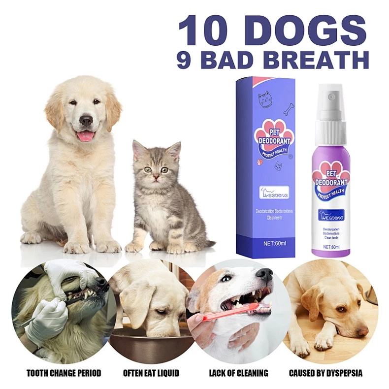 BreathEase™ — Unlock Heartwarming Snuggles with Fresh, Confident Pet Breath