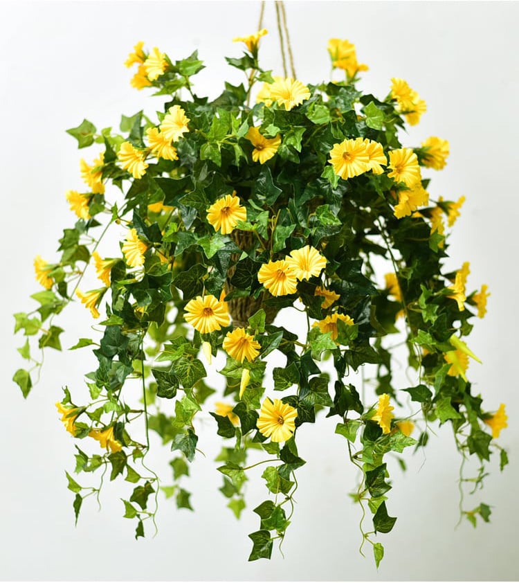 BloomVista™ — Effortless, Vibrant Blooms That Brighten Every Moment
