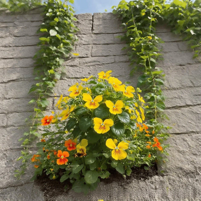 VividFlair™ Butterfly Bloom Seeds — Turn Your Garden Into a Dazzling Butterfly Wonderland That Steals Every Heart
