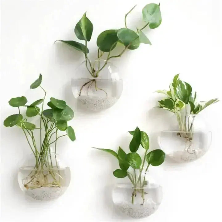 LumoraVista™ — Elevate Your Space with Effortless Glass Elegance and Serene Beauty