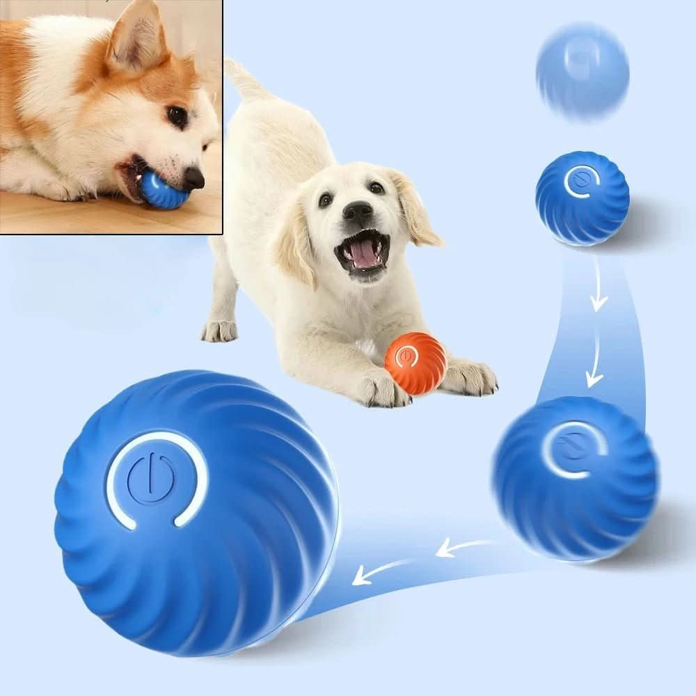 Interactive Auto-Motion Ball for Energetic Dogs