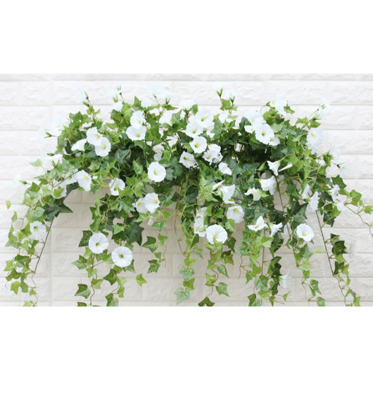 BloomVista™ — Effortless, Vibrant Blooms That Brighten Every Moment