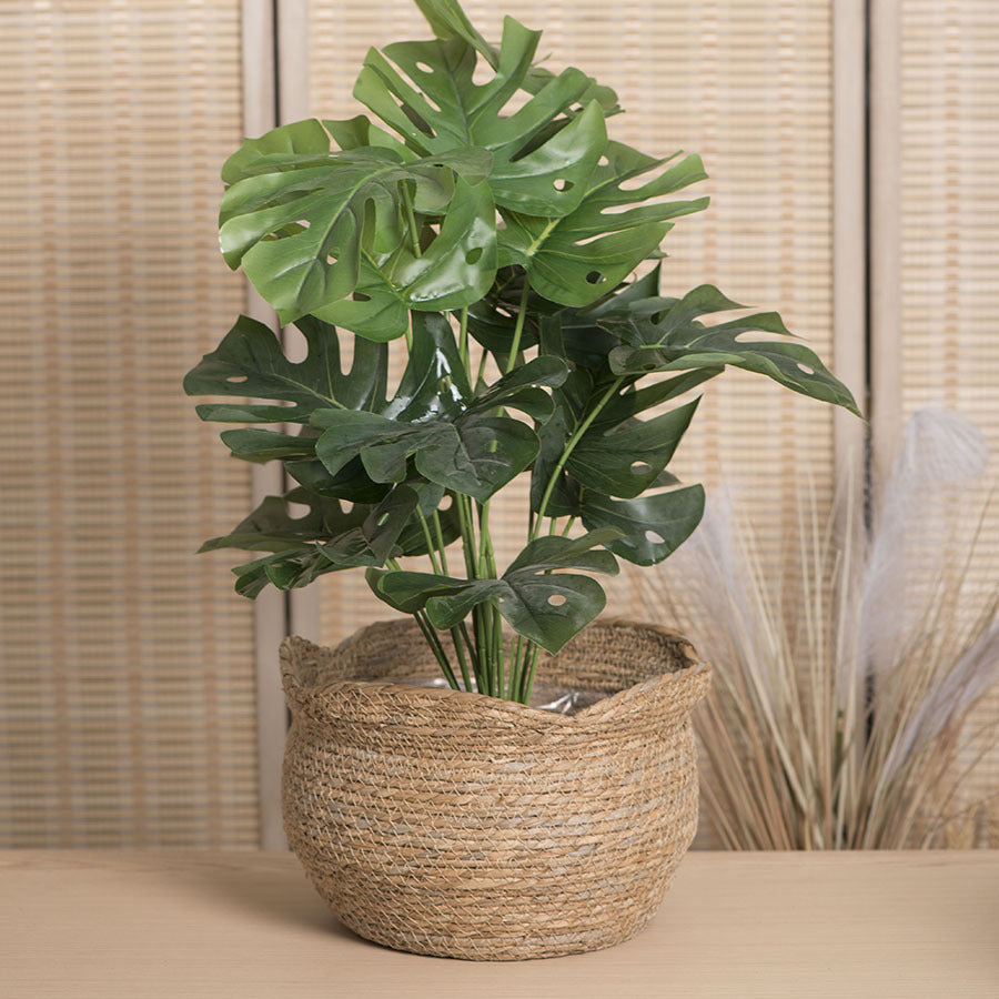 Woven Haven – Artisan Rattan Planter for Cozy Indoor Decor