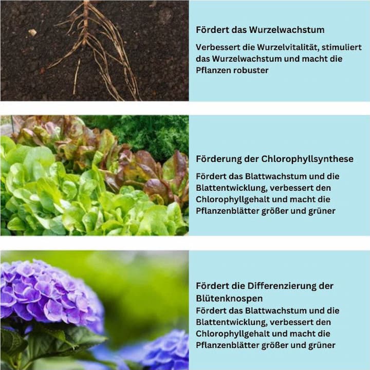 GreenPulse™ — Ignite Unstoppable Growth for a Thriving, Lush Garden