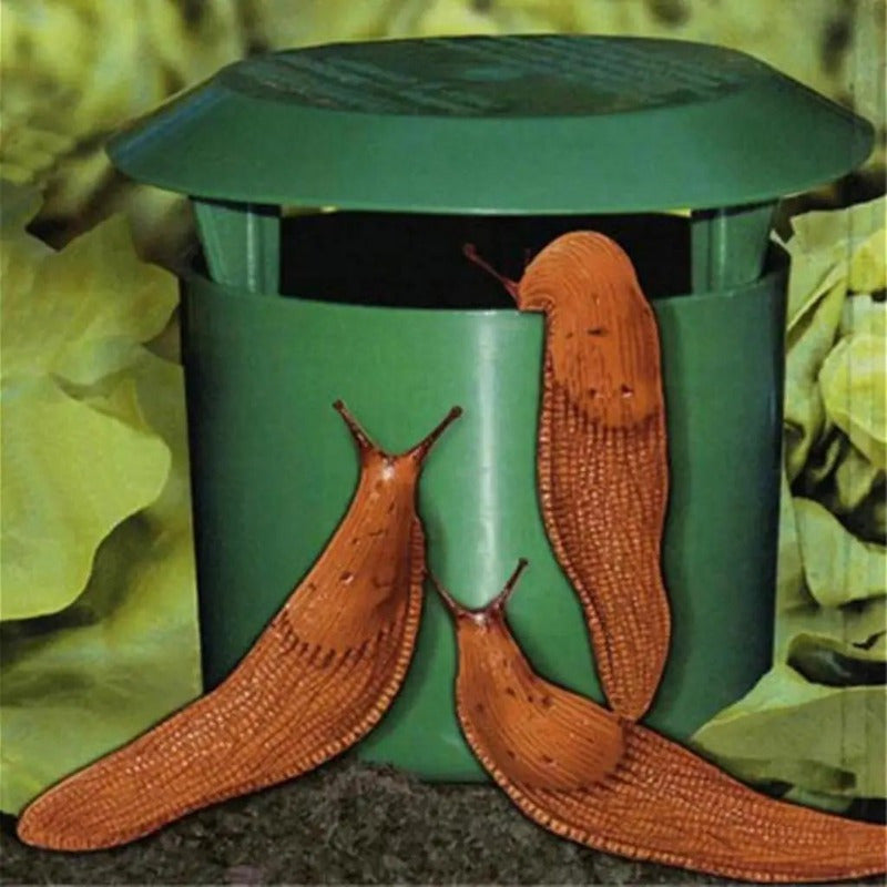 EcoGuard – Chemical-Free Snail & Slug Catcher