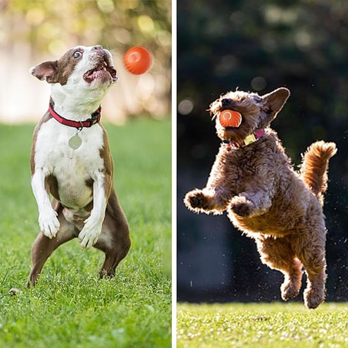 ChaseSpark™ — Ignite Your Dog’s Wild Instinct for Endless Play and Pure Joy