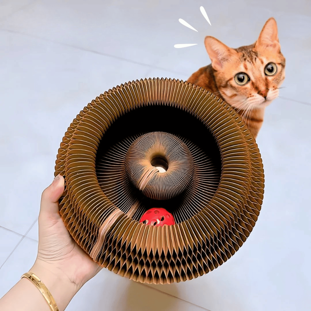 FelineFury™ — Ignite Your Cat’s Wild Side and End Boredom Forever