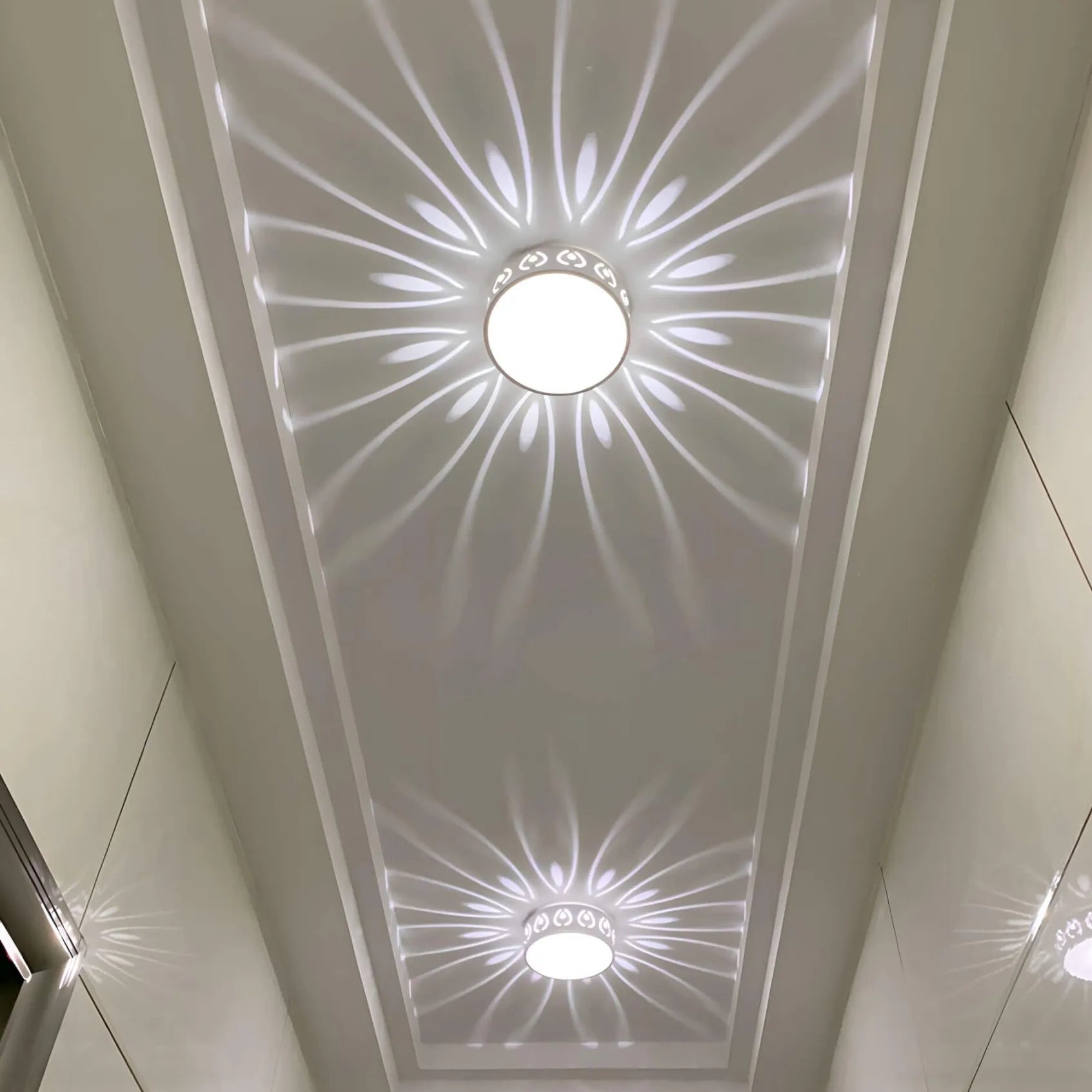 LED Ceiling Light Fixture