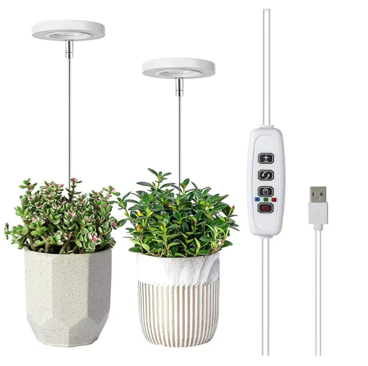 Plant Lamp | Full Spectrum Growth Light | Brightness and Timer Control | PlantGlow