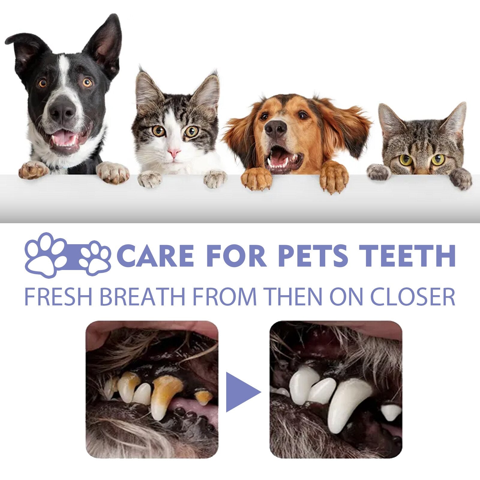 BreathEase™ — Unlock Heartwarming Snuggles with Fresh, Confident Pet Breath
