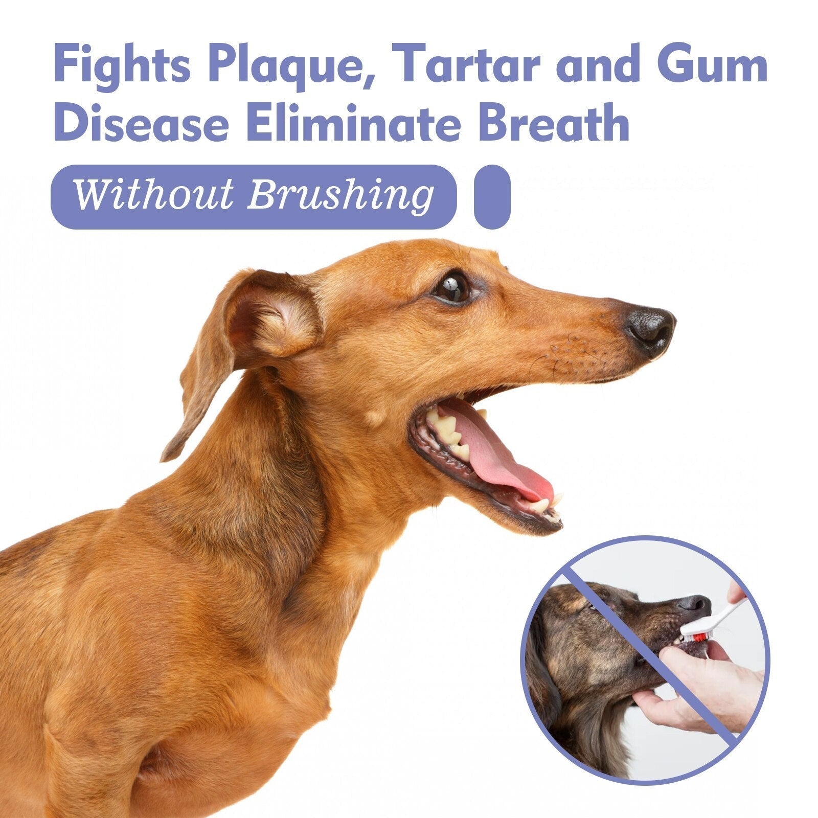 BreathEase™ — Unlock Heartwarming Snuggles with Fresh, Confident Pet Breath