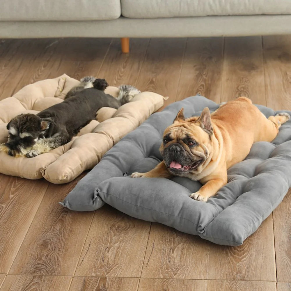 WarmDog 3-in-1 Bed – Warmth, Comfort & Joy for Your Pet!