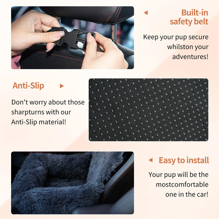 CarPaw – Travel safely & relaxed with your dog!