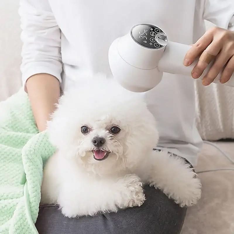 Pet-Friendly Hair Dryer for Effortless Grooming