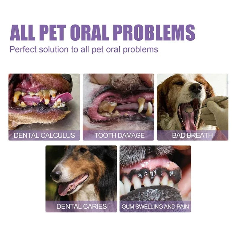 VitaPawSmile™ — Transform Your Pet’s Breath and Comfort into Endless Cuddles