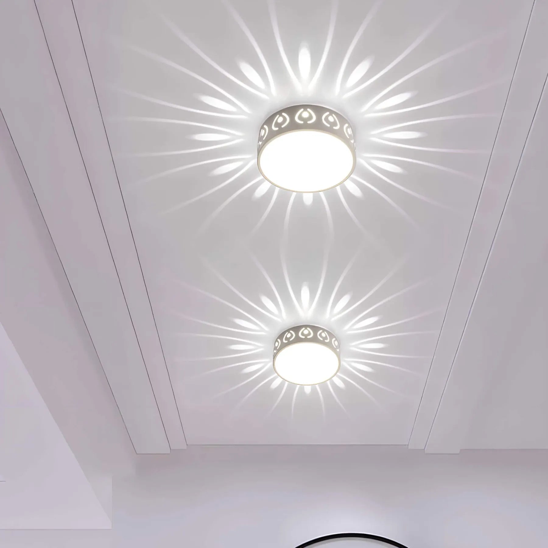 LED Ceiling Light Fixture