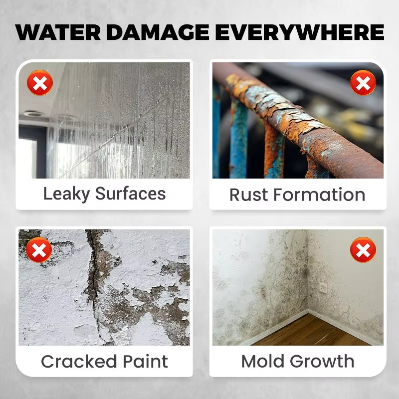 HydroGuardX™ — Shield Your Home from Moisture Damage for Lasting Beauty and Peace of Mind