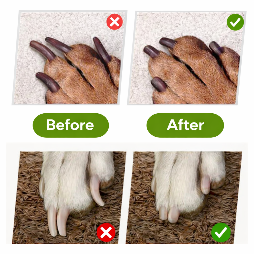 PawZen™ — Trim Fearlessly with Calm Precision and Happy Paws Every Time