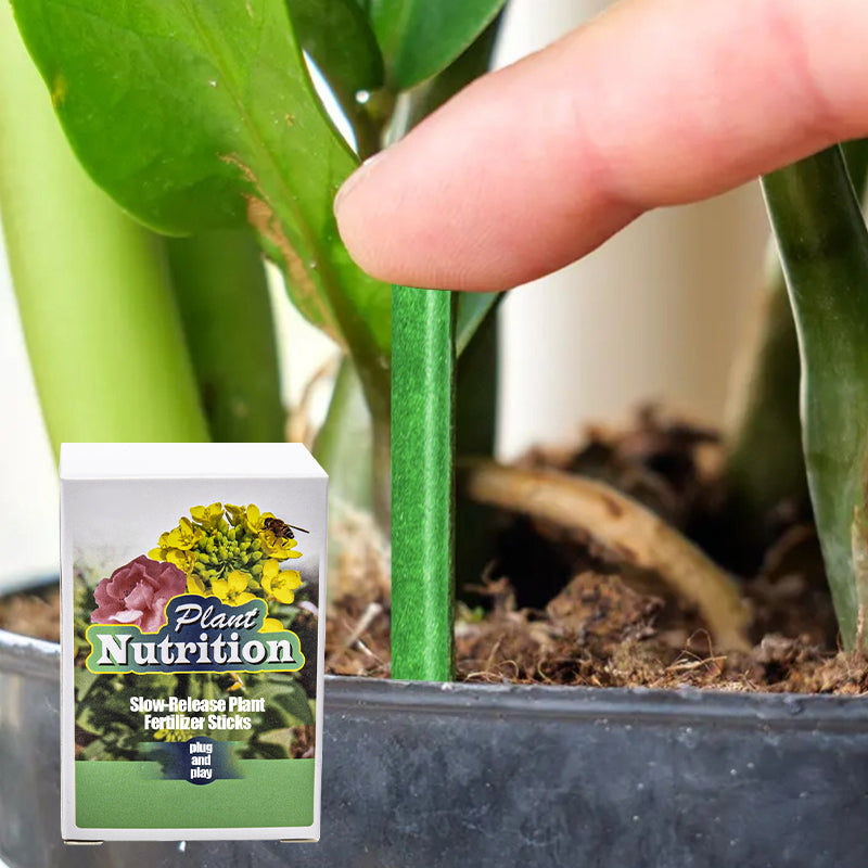 Plant Feeding | Even Nutrient Distribution | Easy to Insert | RootVita