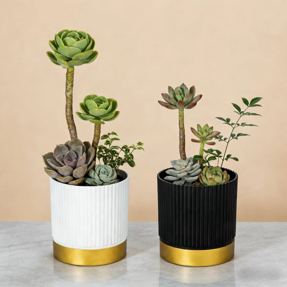 Chic Striped Planter for Stylish Indoor Greenery