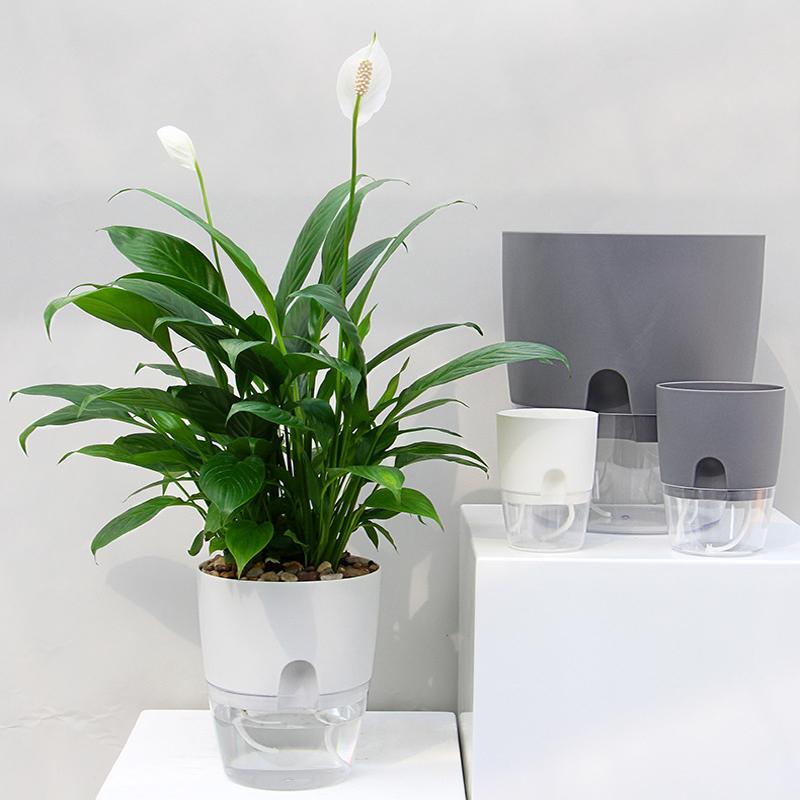 Flower Planter | Self-Watering | Pure Water Flow | AquaWick