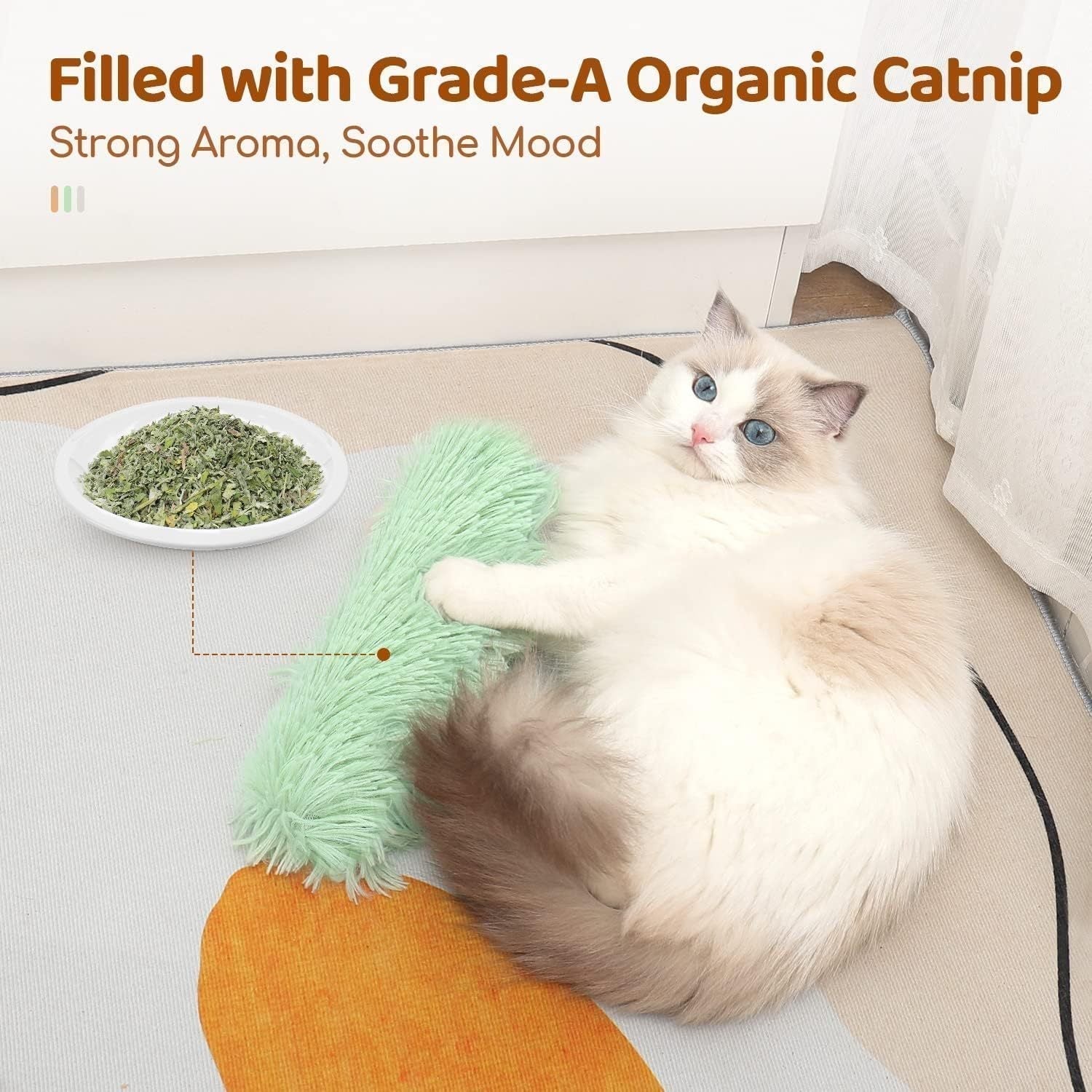 HappyPaw – Play, Fun & a Happy House Cat!