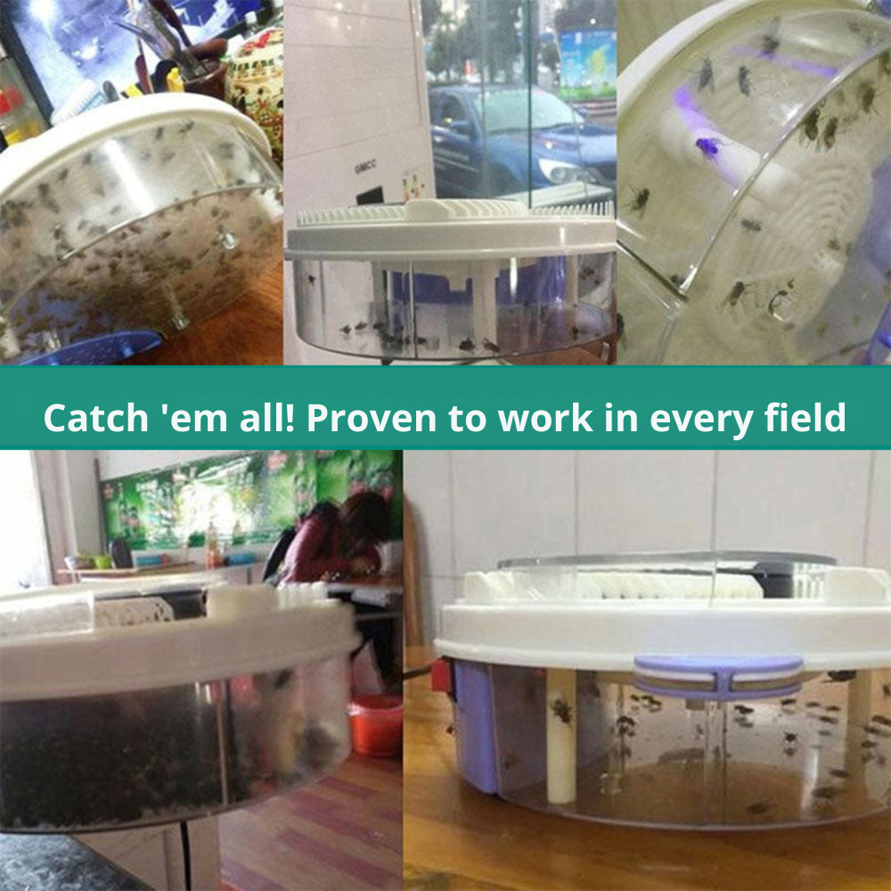 Fly Catcher | Chemical-Free Quiet Insect Trap | Bait Traps | SilentCatch